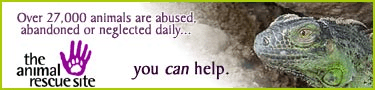 the animal rescue site