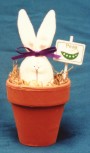 Bunny Pot