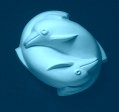 2 Dolphins Soap