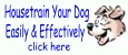 Need Housetraining Help? Download the Happy Housetraining eBook