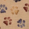colorful paws on tan cat collar