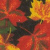 autumn leaves