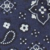 blue bandana dog collar