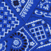 blue bandana cat collar