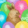 colored eggs