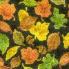 fall leaves
