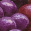 purple grapes dog collar