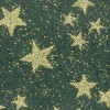 gold stars cat collar