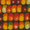 indian corn cat collar