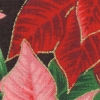 poinsettia