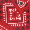 red bandana cat collar