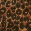 spots cat collar