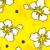 yellow hawaiian flowers cat collar