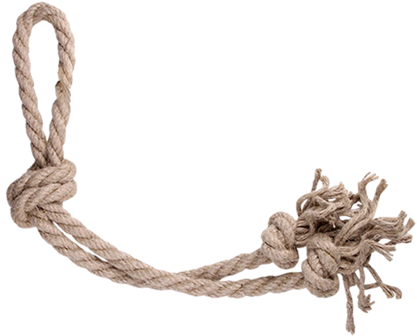 Hemp Dog Loop Toy